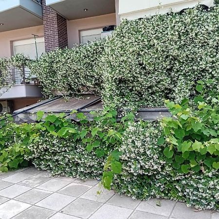Stella'S Jasmine Apartment เทสซาโลนิกิ ภายนอก รูปภาพ