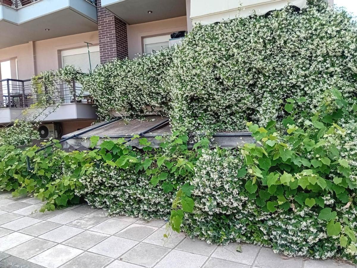 Stella'S Jasmine Apartment เทสซาโลนิกิ ภายนอก รูปภาพ
